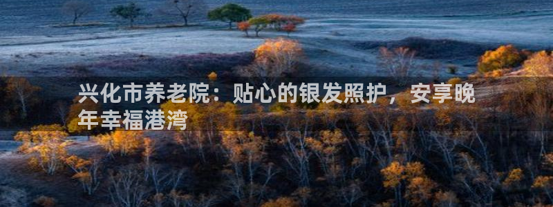 韦德1946娱乐手机版