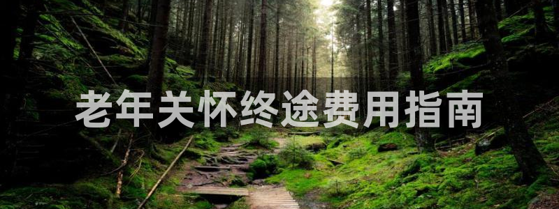 韦德2014