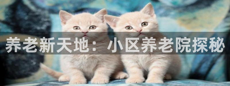 韦德app手机下载